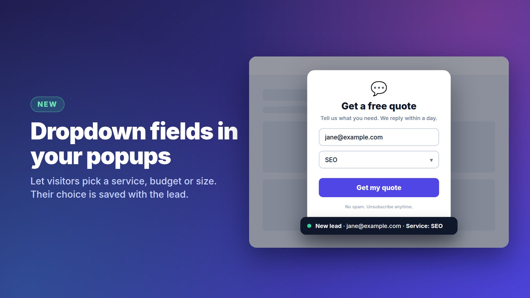 Dropdown fields in your popups: visitors pick a service and it's saved with the lead